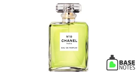 N°19 by Chanel– Basenotes